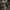 Ilgakotis mėšlagrybis - Coprinopsis lagopus | Fotografijos autorius : Žilvinas Pūtys | © Macrogamta.lt | Šis tinklapis priklauso bendruomenei kuri domisi makro fotografija ir fotografuoja gyvąjį makro pasaulį.