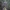 Ilgaliežuvis sfinksas - Macroglossum stellatarum | Fotografijos autorius : Žilvinas Pūtys | © Macrogamta.lt | Šis tinklapis priklauso bendruomenei kuri domisi makro fotografija ir fotografuoja gyvąjį makro pasaulį.