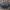 Juodvabalis - Gonocephalum rusticum | Fotografijos autorius : Žilvinas Pūtys | © Macrogamta.lt | Šis tinklapis priklauso bendruomenei kuri domisi makro fotografija ir fotografuoja gyvąjį makro pasaulį.