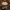 Juosvažvynis raudonviršis - Leccinum versipelle | Fotografijos autorius : Žilvinas Pūtys | © Macrogamta.lt | Šis tinklapis priklauso bendruomenei kuri domisi makro fotografija ir fotografuoja gyvąjį makro pasaulį.