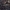 Kūdrinis čiuožikas - Gerris lacustris | Fotografijos autorius : Žilvinas Pūtys | © Macrogamta.lt | Šis tinklapis priklauso bendruomenei kuri domisi makro fotografija ir fotografuoja gyvąjį makro pasaulį.