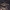 Kūdrinis čiuožikas - Gerris lacustris | Fotografijos autorius : Žilvinas Pūtys | © Macrogamta.lt | Šis tinklapis priklauso bendruomenei kuri domisi makro fotografija ir fotografuoja gyvąjį makro pasaulį.