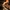 Karingoji grūdmenė - Cordyceps militaris | Fotografijos autorius : Ramunė Vakarė | © Macrogamta.lt | Šis tinklapis priklauso bendruomenei kuri domisi makro fotografija ir fotografuoja gyvąjį makro pasaulį.