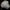 Karpotoji kempė - Trametes gibbosa | Fotografijos autorius : Aleksandras Stabrauskas | © Macrogamta.lt | Šis tinklapis priklauso bendruomenei kuri domisi makro fotografija ir fotografuoja gyvąjį makro pasaulį.