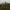 Kartupėnų piliakalnis | Fotografijos autorius : Gintautas Steiblys | © Macrogamta.lt | Šis tinklapis priklauso bendruomenei kuri domisi makro fotografija ir fotografuoja gyvąjį makro pasaulį.