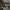 Naguotasis krabas - Metopograpsus frontalis | Fotografijos autorius : Žilvinas Pūtys | © Macrogamta.lt | Šis tinklapis priklauso bendruomenei kuri domisi makro fotografija ir fotografuoja gyvąjį makro pasaulį.
