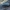 Krypūnėliškasis juodvabalis - Crypticus quisquilius | Fotografijos autorius : Žilvinas Pūtys | © Macrogamta.lt | Šis tinklapis priklauso bendruomenei kuri domisi makro fotografija ir fotografuoja gyvąjį makro pasaulį.