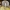 Laibakotė šalmabudė - Mycena vitilis | Fotografijos autorius : Gintautas Steiblys | © Macrogamta.lt | Šis tinklapis priklauso bendruomenei kuri domisi makro fotografija ir fotografuoja gyvąjį makro pasaulį.
