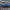 Mėlynasis blizgiavabalis - Phaenops cyanea | Fotografijos autorius : Žilvinas Pūtys | © Macrogamta.lt | Šis tinklapis priklauso bendruomenei kuri domisi makro fotografija ir fotografuoja gyvąjį makro pasaulį.
