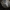 Marmurinis auksavabalis - Protaetia marmorata, lerva | Fotografijos autorius : Kazimieras Martinaitis | © Macrogamta.lt | Šis tinklapis priklauso bendruomenei kuri domisi makro fotografija ir fotografuoja gyvąjį makro pasaulį.