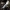 Melsvažalė ūmėdė - Russula cyanoxantha | Fotografijos autorius : Vytautas Gluoksnis | © Macrogamta.lt | Šis tinklapis priklauso bendruomenei kuri domisi makro fotografija ir fotografuoja gyvąjį makro pasaulį.