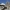 Monolitos pilis | Fotografijos autorius : Gintautas Steiblys | © Macrogamta.lt | Šis tinklapis priklauso bendruomenei kuri domisi makro fotografija ir fotografuoja gyvąjį makro pasaulį.