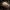 Paprastasis auksavabalis - Cetonia aurata, lerva | Fotografijos autorius : Romas Ferenca | © Macrogamta.lt | Šis tinklapis priklauso bendruomenei kuri domisi makro fotografija ir fotografuoja gyvąjį makro pasaulį.