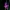 Paprastasis kardelis - Gladiolus imbricatus | Fotografijos autorius : Zita Gasiūnaitė | © Macrogamta.lt | Šis tinklapis priklauso bendruomenei kuri domisi makro fotografija ir fotografuoja gyvąjį makro pasaulį.