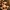 Tamsiažvynis kelmutis - Armillaria ostoyae | Fotografijos autorius : Ramunė Vakarė | © Macrogamta.lt | Šis tinklapis priklauso bendruomenei kuri domisi makro fotografija ir fotografuoja gyvąjį makro pasaulį.