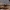 Paprastasis tritonas - Lissotriton vulgaris | Fotografijos autorius : Žilvinas Pūtys | © Macrogamta.lt | Šis tinklapis priklauso bendruomenei kuri domisi makro fotografija ir fotografuoja gyvąjį makro pasaulį.