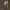 Paprastoji linažolė - Linaria vulgaris | Fotografijos autorius : Zita Gasiūnaitė | © Macrogamta.lt | Šis tinklapis priklauso bendruomenei kuri domisi makro fotografija ir fotografuoja gyvąjį makro pasaulį.