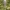 Pavasarinis krokas - Crocus vernus | Fotografijos autorius : Gintautas Steiblys | © Macrogamta.lt | Šis tinklapis priklauso bendruomenei kuri domisi makro fotografija ir fotografuoja gyvąjį makro pasaulį.