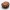 Pilkasis pelėdgalvis - Polia nebulosa, vikšras | Fotografijos autorius : Ramunė Vakarė | © Macrogamta.lt | Šis tinklapis priklauso bendruomenei kuri domisi makro fotografija ir fotografuoja gyvąjį makro pasaulį.