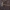 Pievinis mėšlagrybis - Parasola plicatilis-similis | Fotografijos autorius : Vitalij Drozdov | © Macrogamta.lt | Šis tinklapis priklauso bendruomenei kuri domisi makro fotografija ir fotografuoja gyvąjį makro pasaulį.