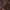 Raudonšlaunis puošniažygis - Carabus cancellatus | Fotografijos autorius : Žilvinas Pūtys | © Macrogamta.lt | Šis tinklapis priklauso bendruomenei kuri domisi makro fotografija ir fotografuoja gyvąjį makro pasaulį.