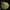 Raudongalvis baltikenis - Tricholomopsis rutilans | Fotografijos autorius : Aleksandras Stabrauskas | © Macrogamta.lt | Šis tinklapis priklauso bendruomenei kuri domisi makro fotografija ir fotografuoja gyvąjį makro pasaulį.