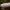 Raudonkotė ūmėdė - Russula rhodopoda ?? | Fotografijos autorius : Gintautas Steiblys | © Macrogamta.lt | Šis tinklapis priklauso bendruomenei kuri domisi makro fotografija ir fotografuoja gyvąjį makro pasaulį.