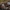 Raudonkraštė pintainė - Fomitopsis pinicola | Fotografijos autorius : Gintautas Steiblys | © Macrogamta.lt | Šis tinklapis priklauso bendruomenei kuri domisi makro fotografija ir fotografuoja gyvąjį makro pasaulį.