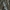 Raudonuodegis verpikas - Calliteara pudibunda ♂ | Fotografijos autorius : Žilvinas Pūtys | © Macrogamta.lt | Šis tinklapis priklauso bendruomenei kuri domisi makro fotografija ir fotografuoja gyvąjį makro pasaulį.