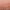 Red raspberry slime mould | Tubifera ferruginosa | Fotografijos autorius : Darius Baužys | © Macrogamta.lt | Šis tinklapis priklauso bendruomenei kuri domisi makro fotografija ir fotografuoja gyvąjį makro pasaulį.