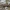 Rodo gėlavandenis krabas - Potamon rhodium | Fotografijos autorius : Žilvinas Pūtys | © Macrogamta.lt | Šis tinklapis priklauso bendruomenei kuri domisi makro fotografija ir fotografuoja gyvąjį makro pasaulį.