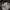 Drūtgalė ūmėdė - Russula clavipes. | Fotografijos autorius : Vitalij Drozdov | © Macrogamta.lt | Šis tinklapis priklauso bendruomenei kuri domisi makro fotografija ir fotografuoja gyvąjį makro pasaulį.