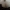 Įvairiaspalvė umėdė - Russula versicolor | Fotografijos autorius : Vitalij Drozdov | © Macrogamta.lt | Šis tinklapis priklauso bendruomenei kuri domisi makro fotografija ir fotografuoja gyvąjį makro pasaulį.
