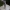 Vyninė ūmėdė - Russula vinosa | Fotografijos autorius : Vitalij Drozdov | © Macrogamta.lt | Šis tinklapis priklauso bendruomenei kuri domisi makro fotografija ir fotografuoja gyvąjį makro pasaulį.