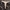 Samaninis piengrybis - Lactarius helvus | Fotografijos autorius : Vitalij Drozdov | © Macrogamta.lt | Šis tinklapis priklauso bendruomenei kuri domisi makro fotografija ir fotografuoja gyvąjį makro pasaulį.