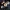 Dvispalvė skujagalvė - Pholiota spumosa | Fotografijos autorius : Vitalij Drozdov | © Macronature.eu | Macro photography web site