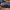 Sengirinis juodvabalis - Neomida haemorrhoidalis ♀ | Fotografijos autorius : Žilvinas Pūtys | © Macrogamta.lt | Šis tinklapis priklauso bendruomenei kuri domisi makro fotografija ir fotografuoja gyvąjį makro pasaulį.