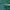 Žaliapilvė kampuotblakė - Myrmus miriformis ♂ | Fotografijos autorius : Žilvinas Pūtys | © Macronature.eu | Macro photography web site