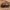 Mėšlagraužis - Onthophagus nuchicornis ♂ | Fotografijos autorius : Žilvinas Pūtys | © Macronature.eu | Macro photography web site