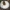 Smiltyninis šilbaravykis - Gyroporus castaneus | Fotografijos autorius : Kazimieras Martinaitis | © Macrogamta.lt | Šis tinklapis priklauso bendruomenei kuri domisi makro fotografija ir fotografuoja gyvąjį makro pasaulį.