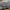 Smulkiamargis vėlyvis - Dryobotodes eremita | Fotografijos autorius : Žilvinas Pūtys | © Macrogamta.lt | Šis tinklapis priklauso bendruomenei kuri domisi makro fotografija ir fotografuoja gyvąjį makro pasaulį.