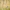 Stepinis melsvys - Polyommatus coridon | Fotografijos autorius : Eglė Vičiuvienė | © Macrogamta.lt | Šis tinklapis priklauso bendruomenei kuri domisi makro fotografija ir fotografuoja gyvąjį makro pasaulį.