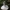 Tikroji ūmėdė - Russula vesca | Fotografijos autorius : Vitalij Drozdov | © Macrogamta.lt | Šis tinklapis priklauso bendruomenei kuri domisi makro fotografija ir fotografuoja gyvąjį makro pasaulį.