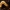 Skersadryžio spragšio - Harminius undulatus lerva | Fotografijos autorius : Ramunė Vakarė | © Macrogamta.lt | Šis tinklapis priklauso bendruomenei kuri domisi makro fotografija ir fotografuoja gyvąjį makro pasaulį.
