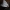 Mažasis žiemsprindis - Operophtera brumata | Fotografijos autorius : Ramunė Vakarė | © Macrogamta.lt | Šis tinklapis priklauso bendruomenei kuri domisi makro fotografija ir fotografuoja gyvąjį makro pasaulį.