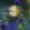 Krūminis kūpolis – Melampyrum nemorosum | Fotografijos autorius : Agnė Našlėnienė | © Macrogamta.lt | Šis tinklapis priklauso bendruomenei kuri domisi makro fotografija ir fotografuoja gyvąjį makro pasaulį.