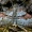 Rausvajuostė cidarija - Xanthorhoe designata  | Fotografijos autorius : Oskaras Venckus | © Macronature.eu | Macro photography web site