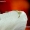 Kaitusis žiedvoris  (Misumena vatia) ir javinė muselė (Chloropidae) | Fotografijos autorius : Alma Totorytė | © Macrogamta.lt | Šis tinklapis priklauso bendruomenei kuri domisi makro fotografija ir fotografuoja gyvąjį makro pasaulį.