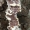 Dvispalvis gleiviaporis - Gloeporus dichrous | Fotografijos autorius : Ramunė Vakarė | © Macrogamta.lt | Šis tinklapis priklauso bendruomenei kuri domisi makro fotografija ir fotografuoja gyvąjį makro pasaulį.