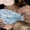 Žydrasis melsvys - Celastrina argiolus | Fotografijos autorius : Deividas Makavičius | © Macronature.eu | Macro photography web site